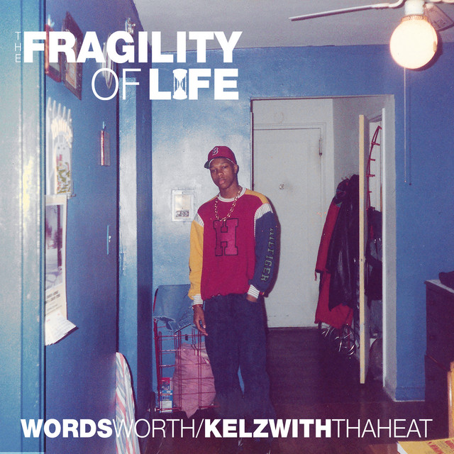 The Fragility of Life album cover