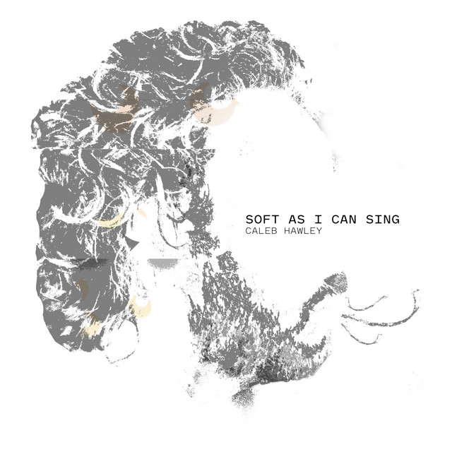 soft as i can sing album cover
