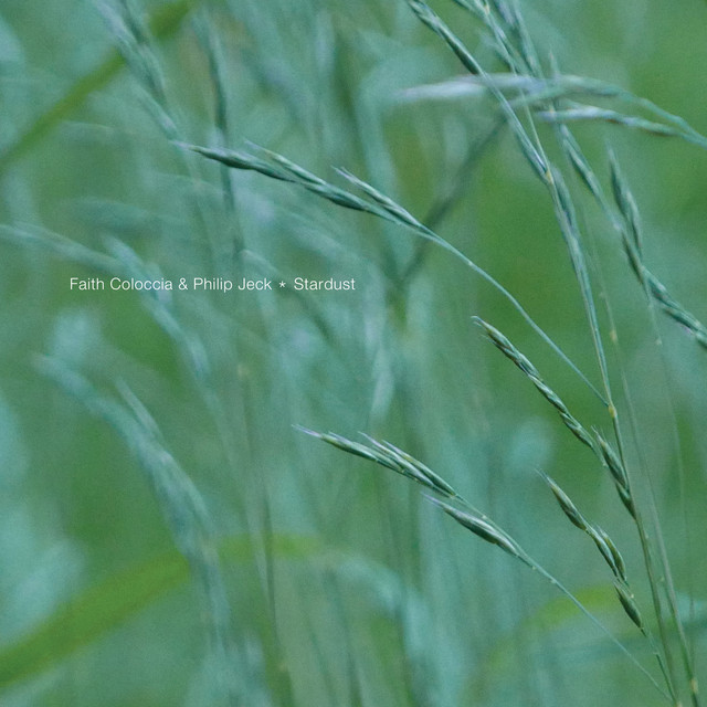 Stardust album cover