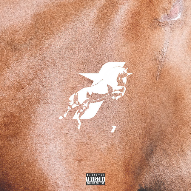 taycan v1 album cover
