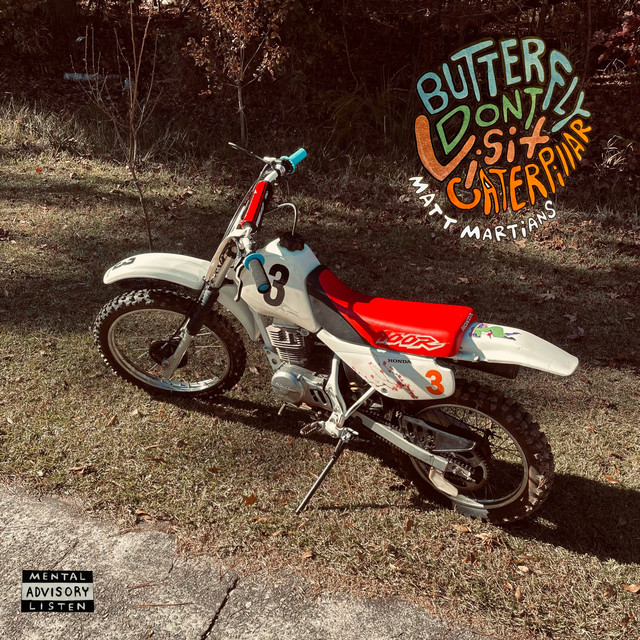 Butterfly Don't Visit Caterpillar album cover