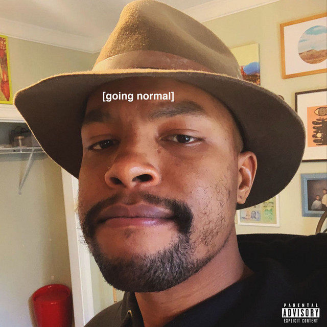 Going Normal album cover