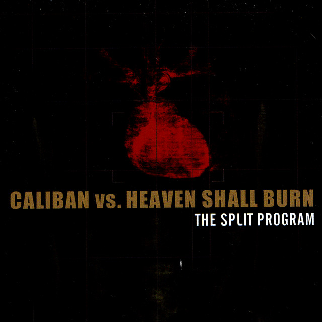 The Split Program album cover