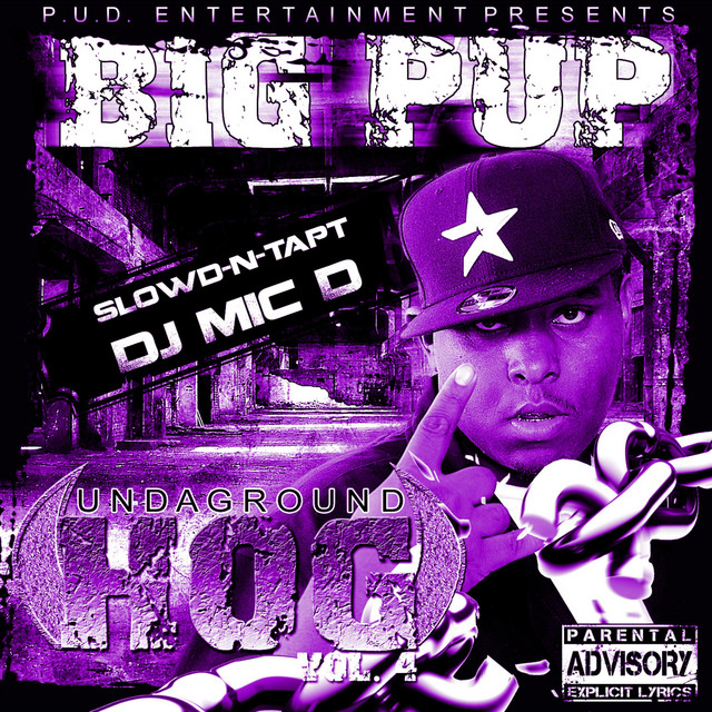 Undaground Hog, Vol. 4 (Slowd N Tapt) album cover