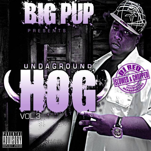 Undaground Hog, Vol. 3 (Slowed & Chopped) album cover