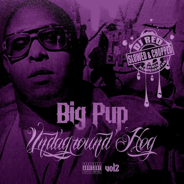 Undaground Hog, Vol. 2 (Slowed & Chopped) album cover