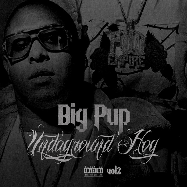 Undaground Hog, Vol. 2 album cover