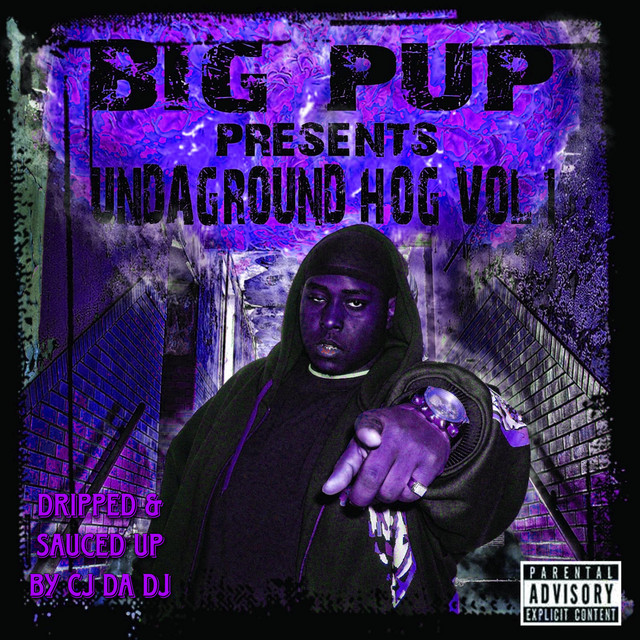 Undaground Hog, Vol. 1 (Dripped & Sauced Up) album cover