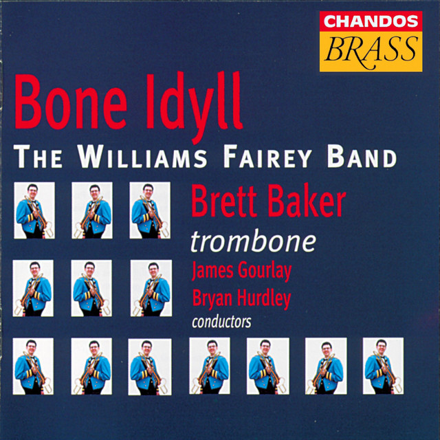 Bone Idyll album cover