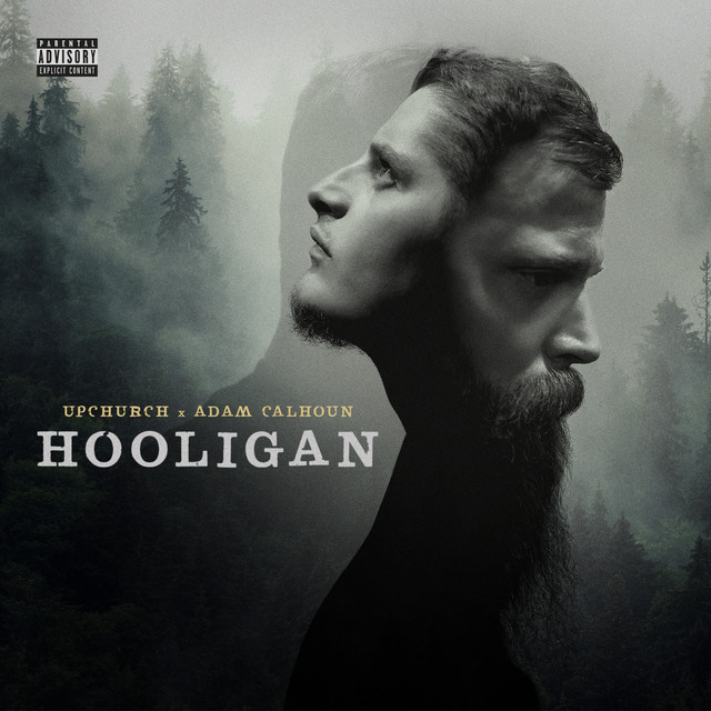 Hooligan album cover