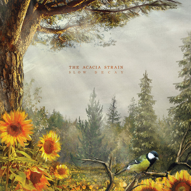 Slow Decay album cover