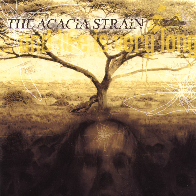 ...and life is very long album cover