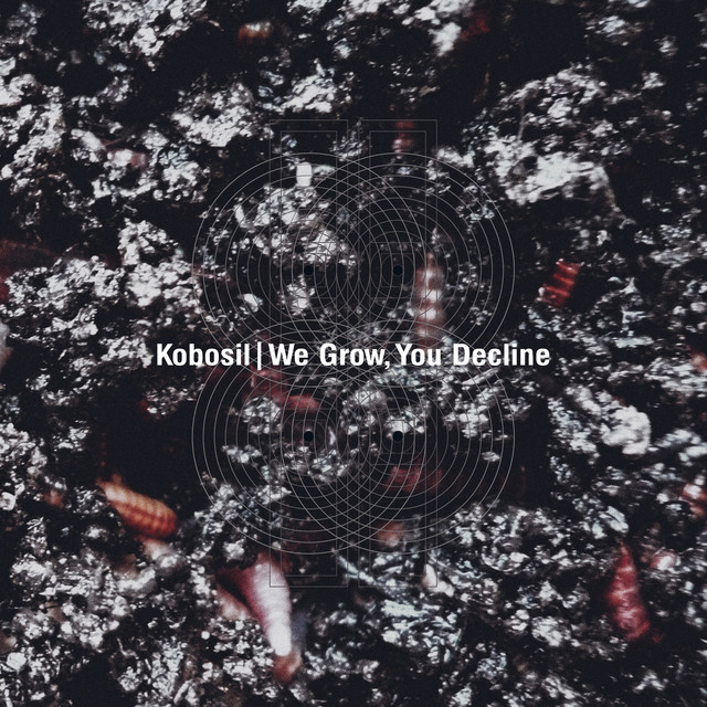 We Grow, You Decline album cover