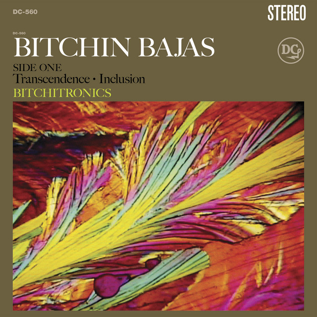 Bitchitronics album cover