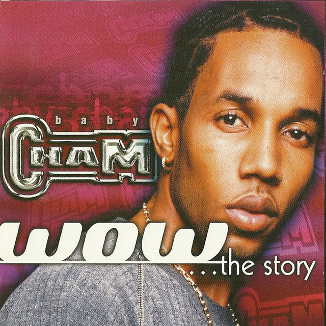 WOW...The Story album cover
