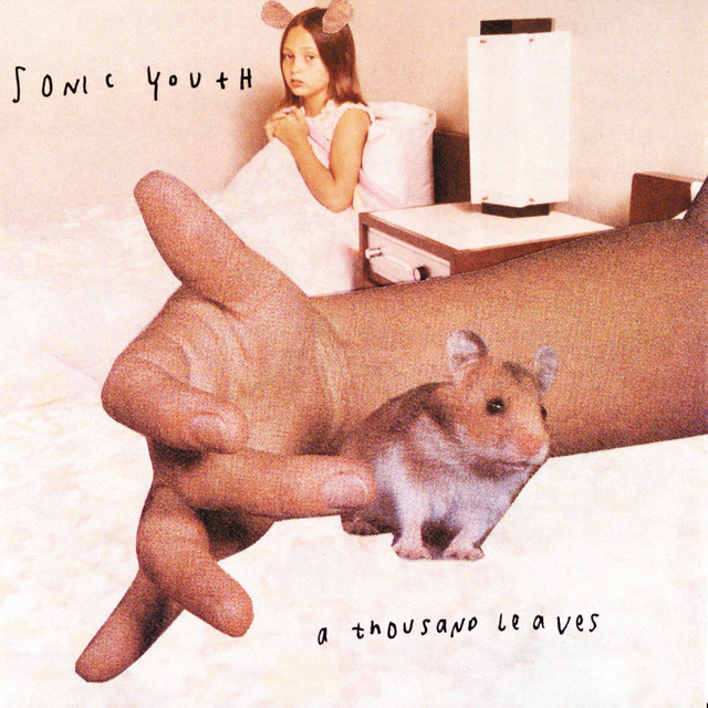 MXR M101 Phase 90 as heard on A Thousand Leaves by Sonic Youth (1998)
