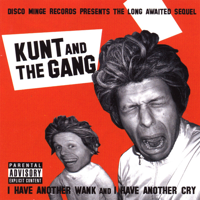 i have another wank and i have another cry album cover