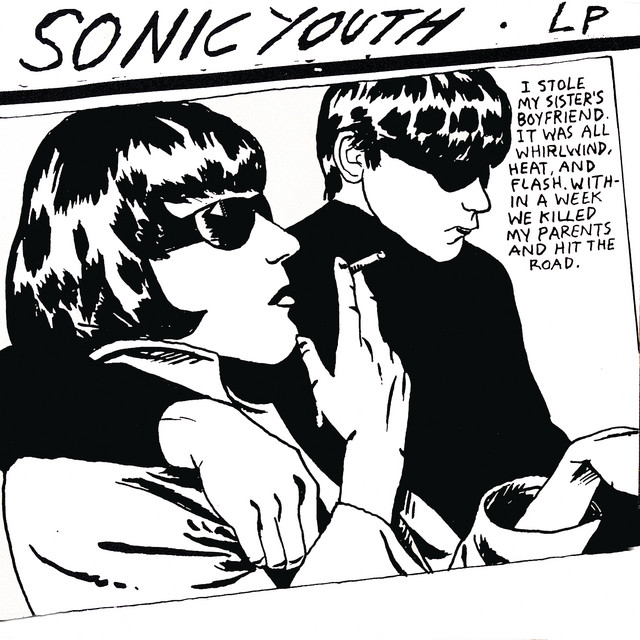 Fender DGL-1 as heard on Goo by Sonic Youth (1990)