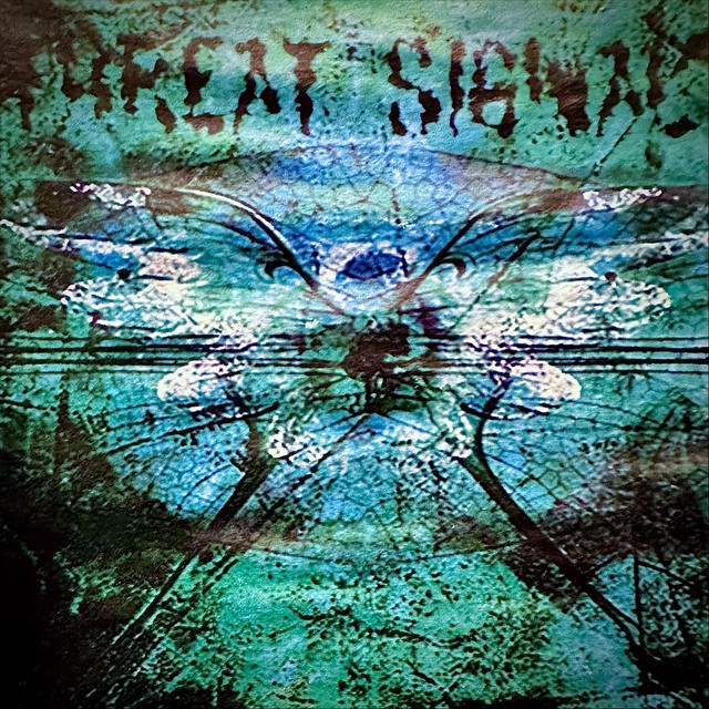 Demos (2004-2005) album cover