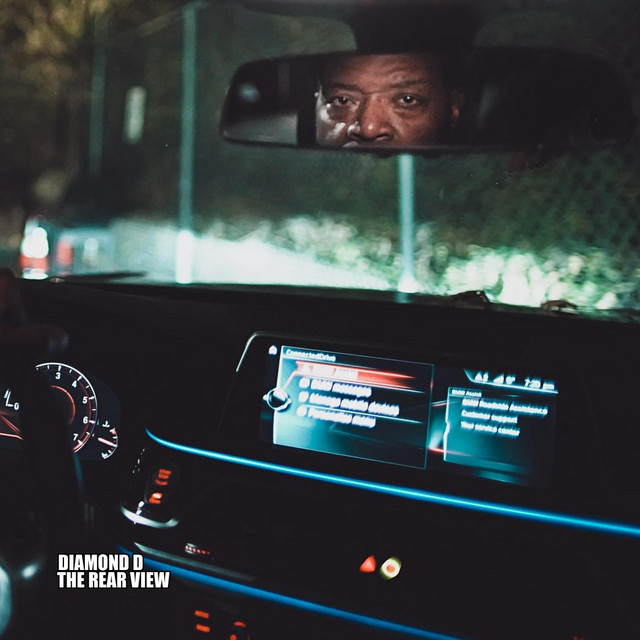 THE REAR VIEW album cover