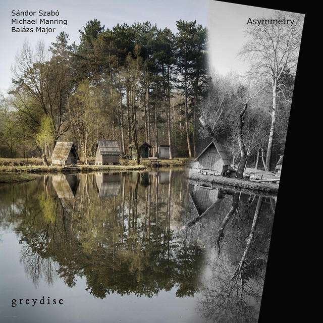 Asymmetry album cover