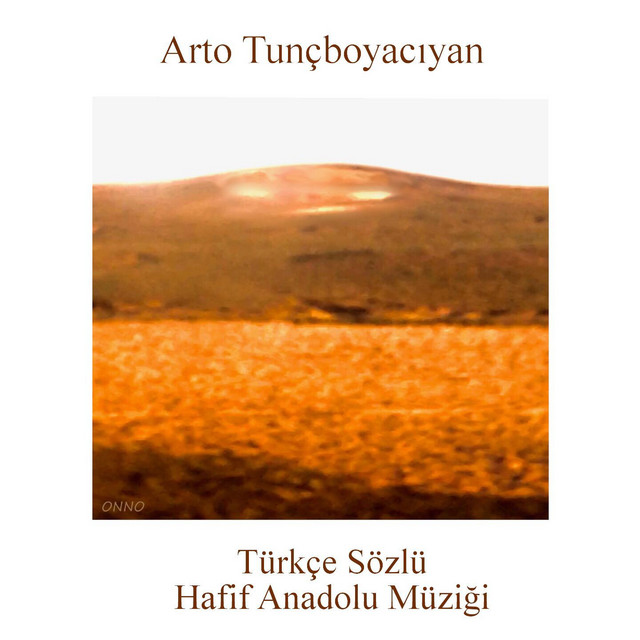 Türkçe Sözlü Hafif Anadolu Müziği album cover