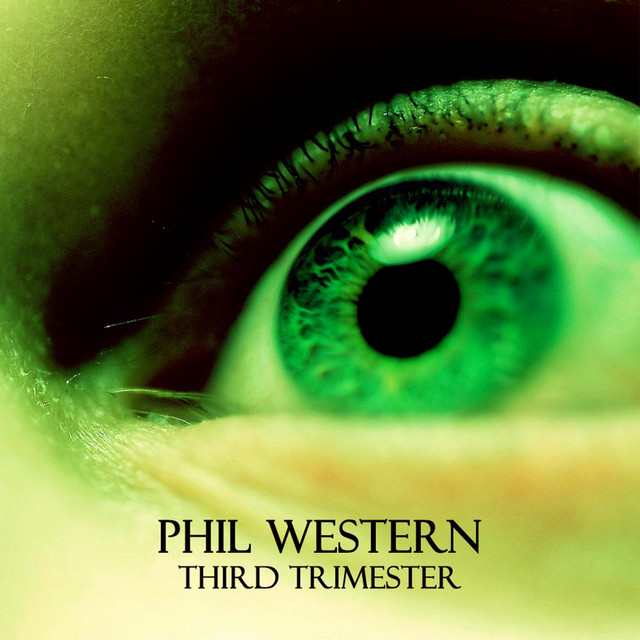 Third Trimester album cover