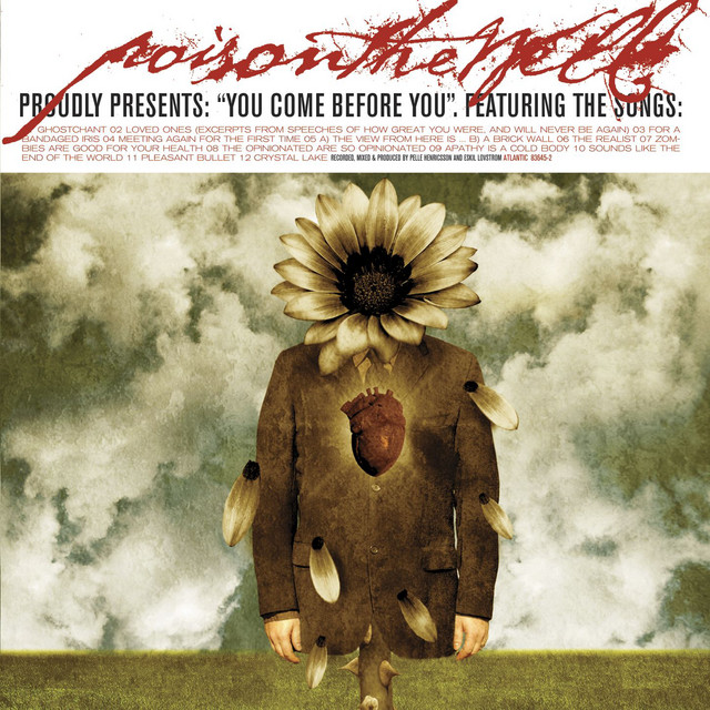 Marshall JCM800 2203 as heard on You Come Before You (U.S. Version) by Poison the Well (2003)
