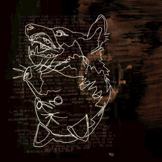 Holding a Wolf By the Ears (Bonus Version) album cover