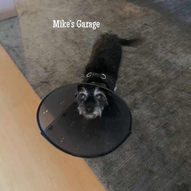 Mike's Garage album cover