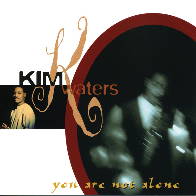 You Are Not Alone album cover