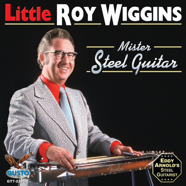 Mister Steel Guitar album cover