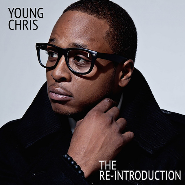 The Re-Introduction album cover