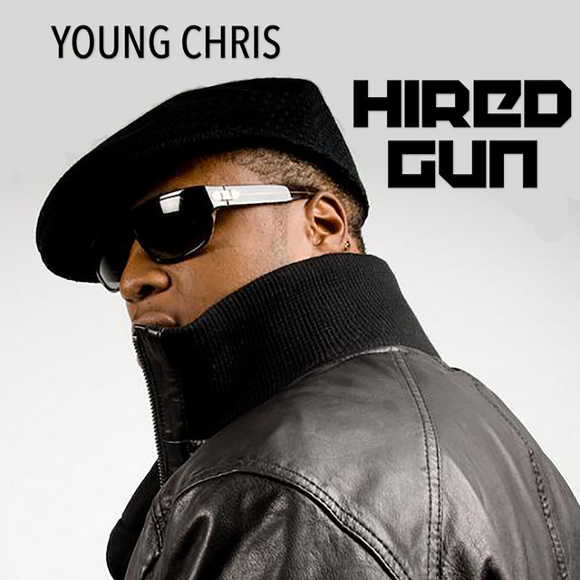 Hired Gun album cover
