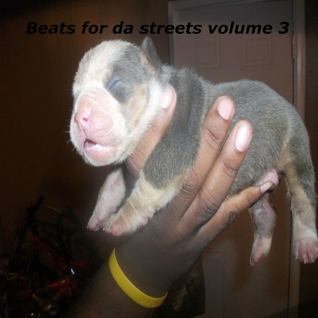 Beats for the Streets, Vol. 3 album cover