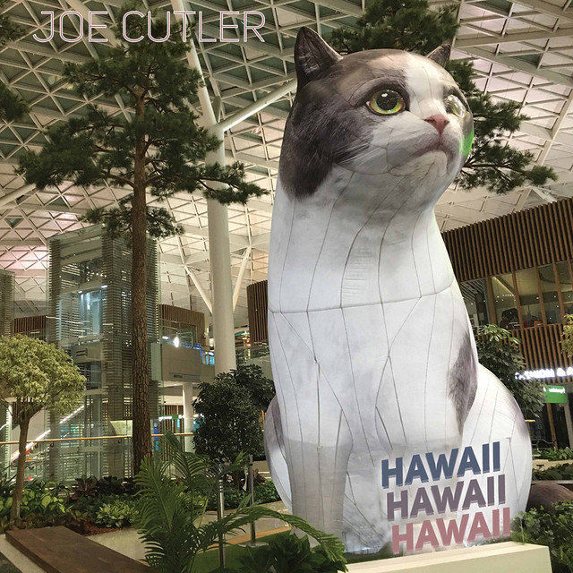 Hawaii Hawaii Hawaii (Live) album cover