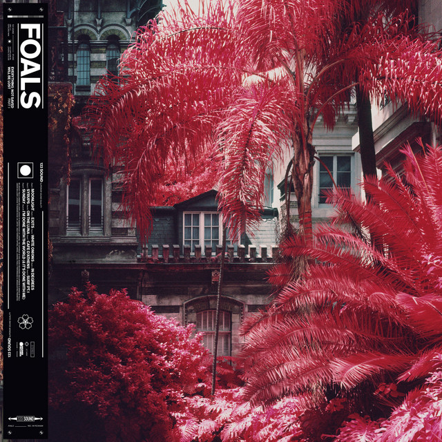 Line 6 DL4 Delay Modeler as heard on Everything Not Saved Will Be Lost Part I by Foals (2019)