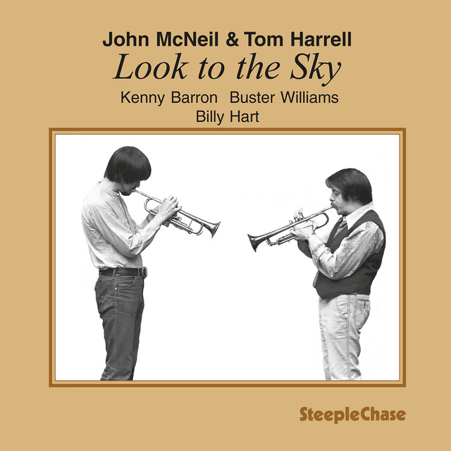 Look to the Sky album cover