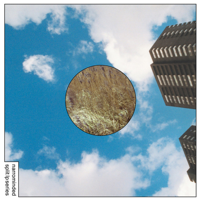 Narrominded Split LP Series #3 album cover