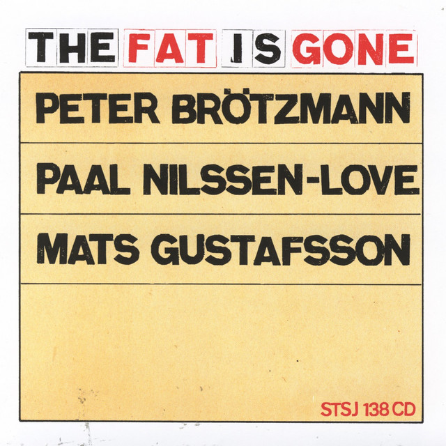 The Fat Is Gone album cover