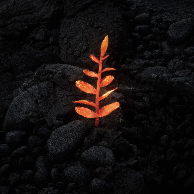 Revival