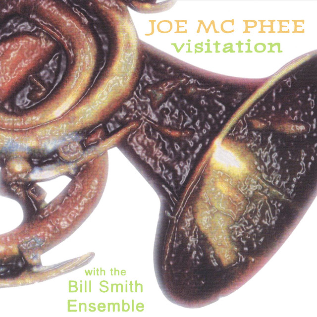 Visitation album cover