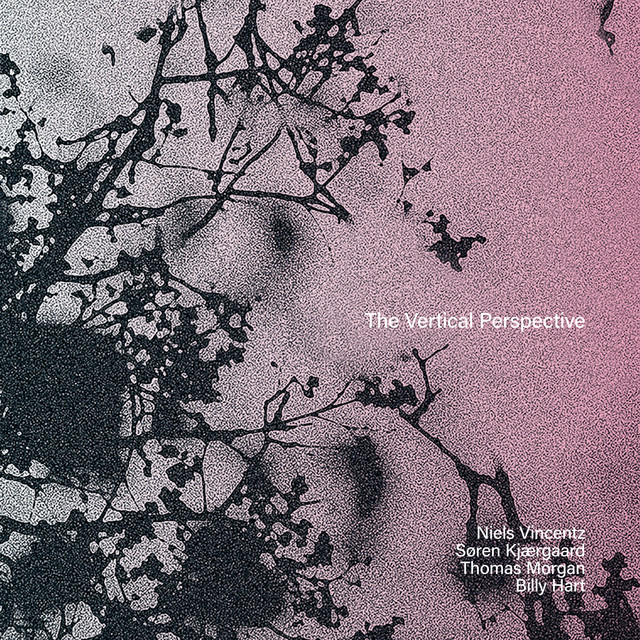 The Vertical Perspective album cover