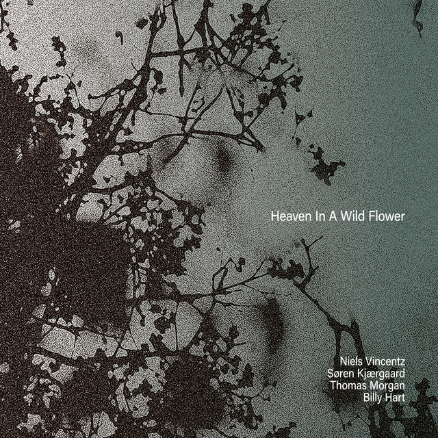 Heaven in a Wildflower album cover