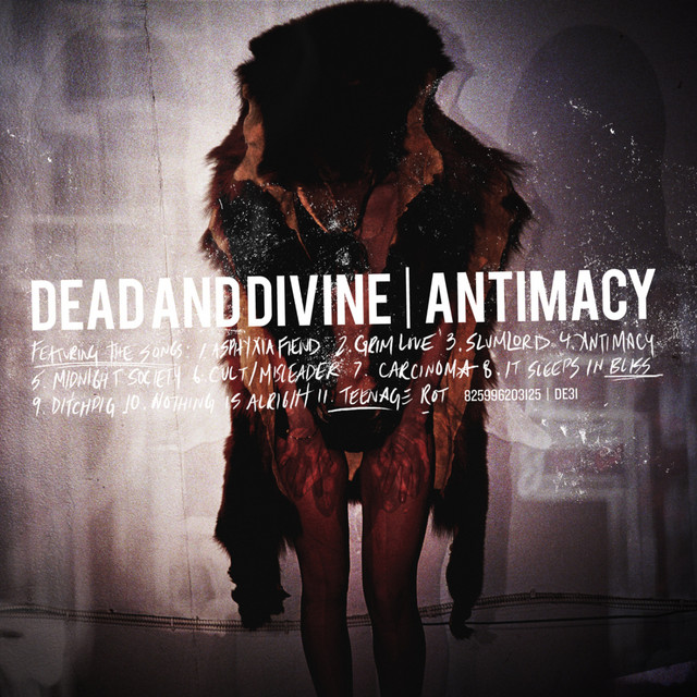 Antimacy album cover