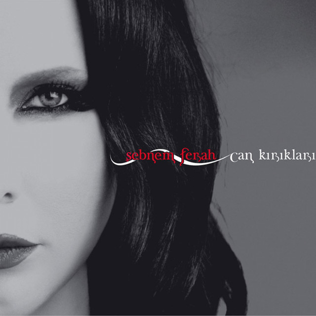 Can Kırıkları album cover