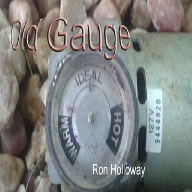 Old Gauge album cover