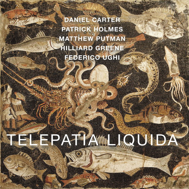 Telepatia Liquida album cover