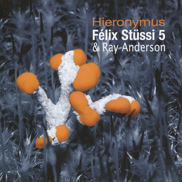 Hieronymus album cover