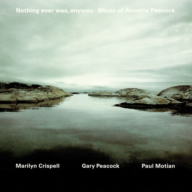 Nothing Ever Was, Anyway. Music Of Annette Peacock album cover